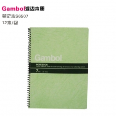 渡边(Gambol) B5，50页螺旋装订本 线圈