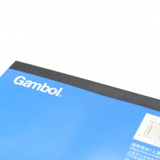 渡边(Gambol) A5，70页空白图画本 拍纸本 拍纸簿#A5-700，10本装