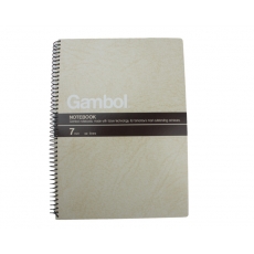 渡边(Gambol) B5，80页螺旋装订本 线圈